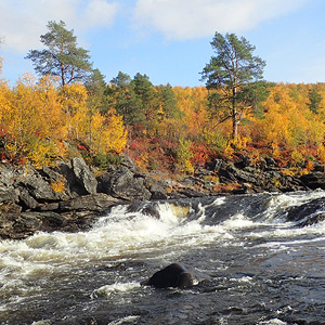 Finnmarksvidda På Langs