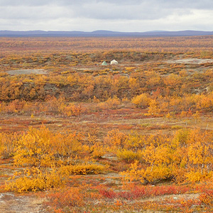 Finnmarksvidda På Langs