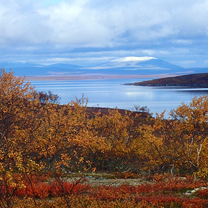 Finnmarksvidda På Langs