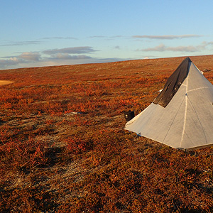 Finnmarksvidda På Langs