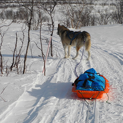 Finnmarkvidda Sur