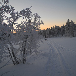 Hetta-Pallas trail