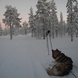 Hetta-Pallas trail