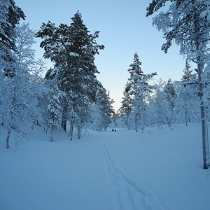 Hetta-Pallas trail
