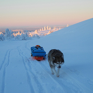 Hetta-Pallas trail