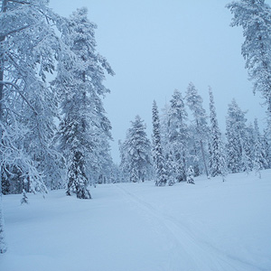 Hetta-Pallas trail