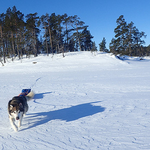 Inari Oeste-Este