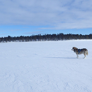 Inari Oeste-Este