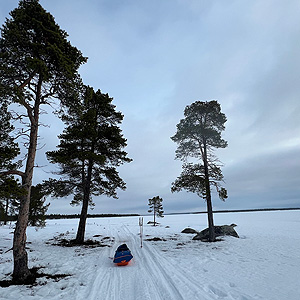 Inari solitario sur norte