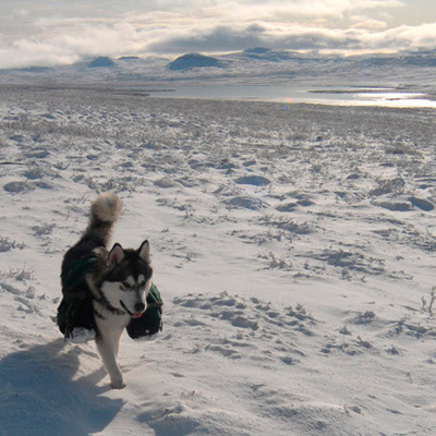 Kautokeino-Abisko