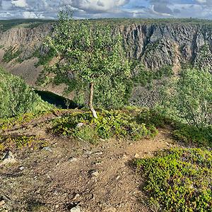 Kevo Trail