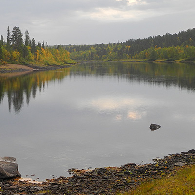 Kola. Ponoi River