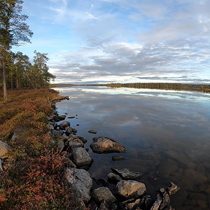 de Korsatunturi (nacimiento rio ivalojokki) a Pasvik