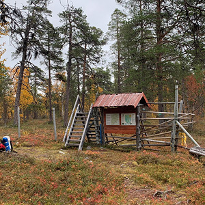 de Korsatunturi (nacimiento rio ivalojokki) a Pasvik