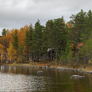 de Korsatunturi (nacimiento rio ivalojokki) a Pasvik