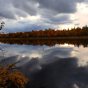 de Korsatunturi (nacimiento rio ivalojokki) a Pasvik