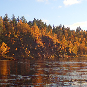 de Korsatunturi (nacimiento rio ivalojokki) a Pasvik