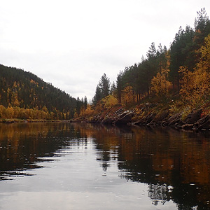 de Korsatunturi (nacimiento rio ivalojokki) a Pasvik