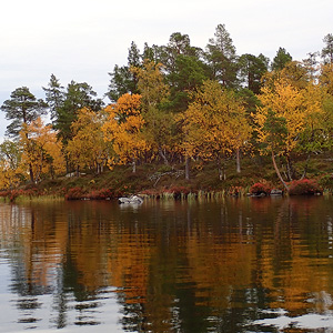 de Korsatunturi (nacimiento rio ivalojokki) a Pasvik