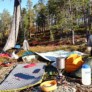 de Korsatunturi (nacimiento rio ivalojokki) a Pasvik