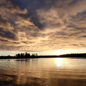 de Korsatunturi (nacimiento rio ivalojokki) a Pasvik