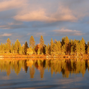 de Korsatunturi (nacimiento rio ivalojokki) a Pasvik