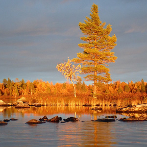 de Korsatunturi (nacimiento rio ivalojokki) a Pasvik