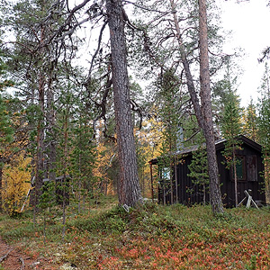 de Korsatunturi (nacimiento rio ivalojokki) a Pasvik