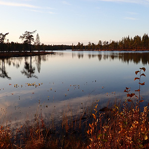 de Korsatunturi (nacimiento rio ivalojokki) a Pasvik