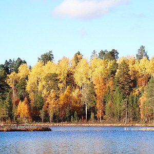 de Korsatunturi (nacimiento rio ivalojokki) a Pasvik