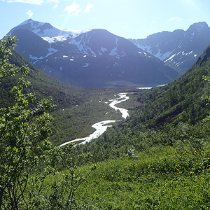 Langfjorden (Loppa)