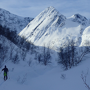 Langfjordjokkelen