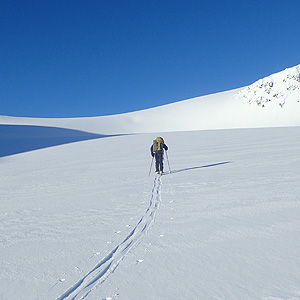 Langfjordjokkelen