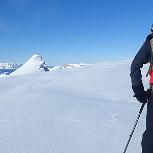 Langfjordjokkelen