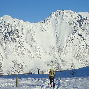 Langfjordjokkelen