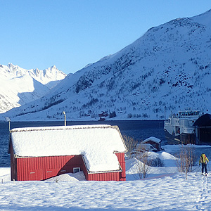 Langfjordjokkelen