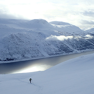 Langfjordjokkelen