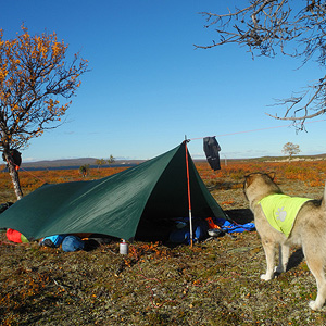 Rio Karasjok