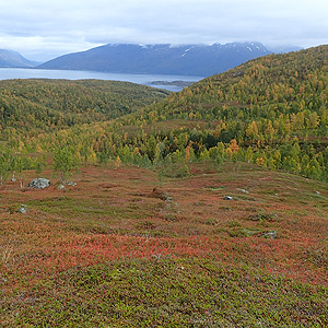 Otoño en Lyngen