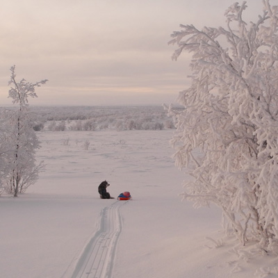 Paseo por la llanura del Finnmark