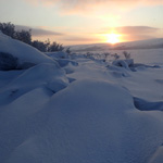 Paseo por la llanura del Finnmark