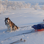 Paseo por la llanura del Finnmark