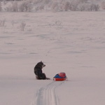 Paseo por la llanura del Finnmark