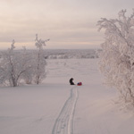 Paseo por la llanura del Finnmark