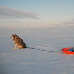 Paseo por la llanura del Finnmark