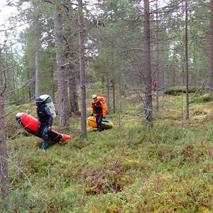 Pasvik 2025
