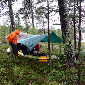 Pasvik 2025
