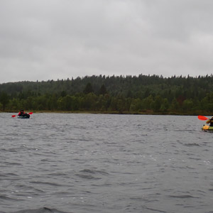 Pasvik 2025