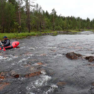 Pasvik 2025