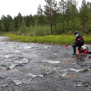 Pasvik 2025
